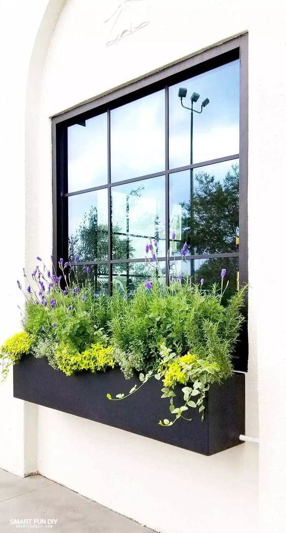 flores coloridas para jardineira de janela com sol pleno