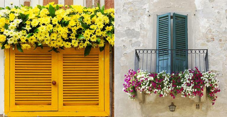 erros comuns ao escolher flores para jardineira de janela