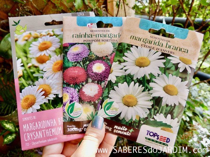 flores para vasos de inverno