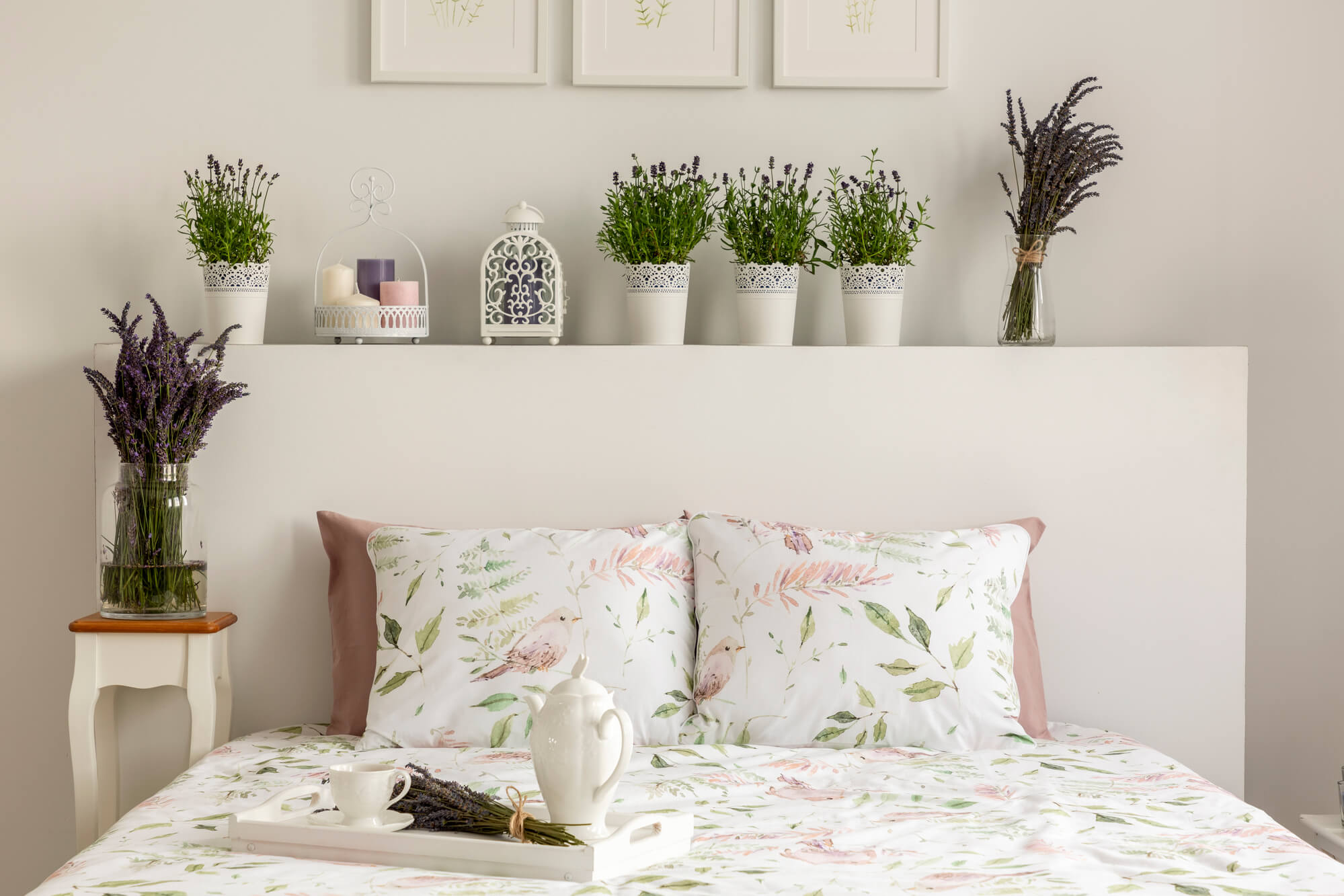 plantas que purificam o ar do quarto