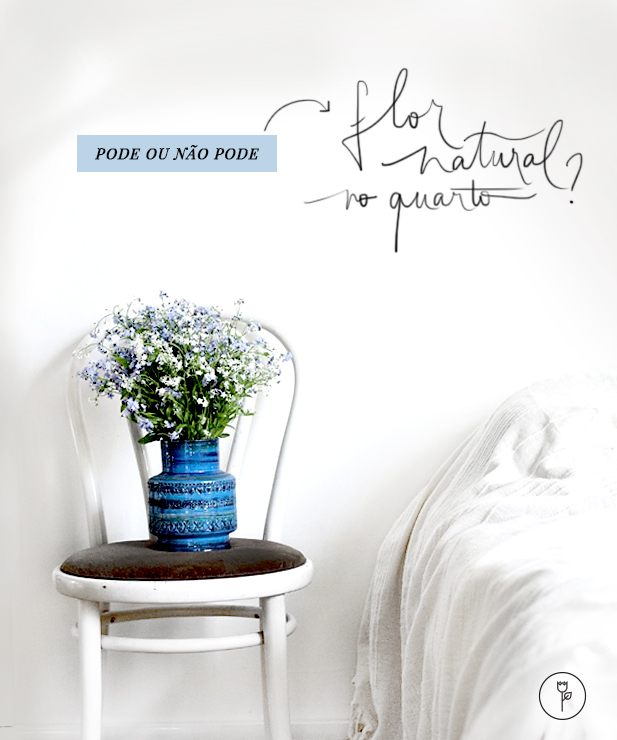 plantas para quarto com pouca luz