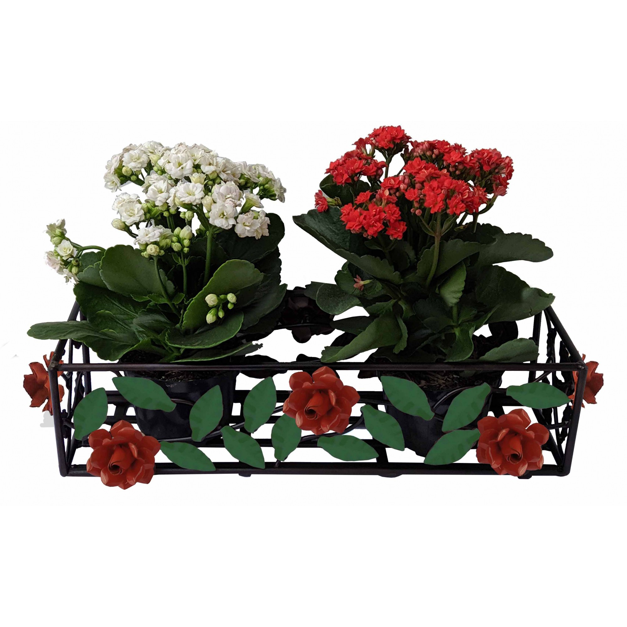 flores pequenas para canteiros