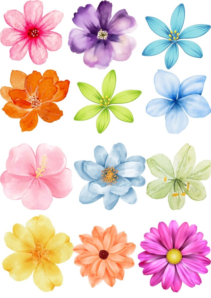flores pequenas resistentes ao frio
