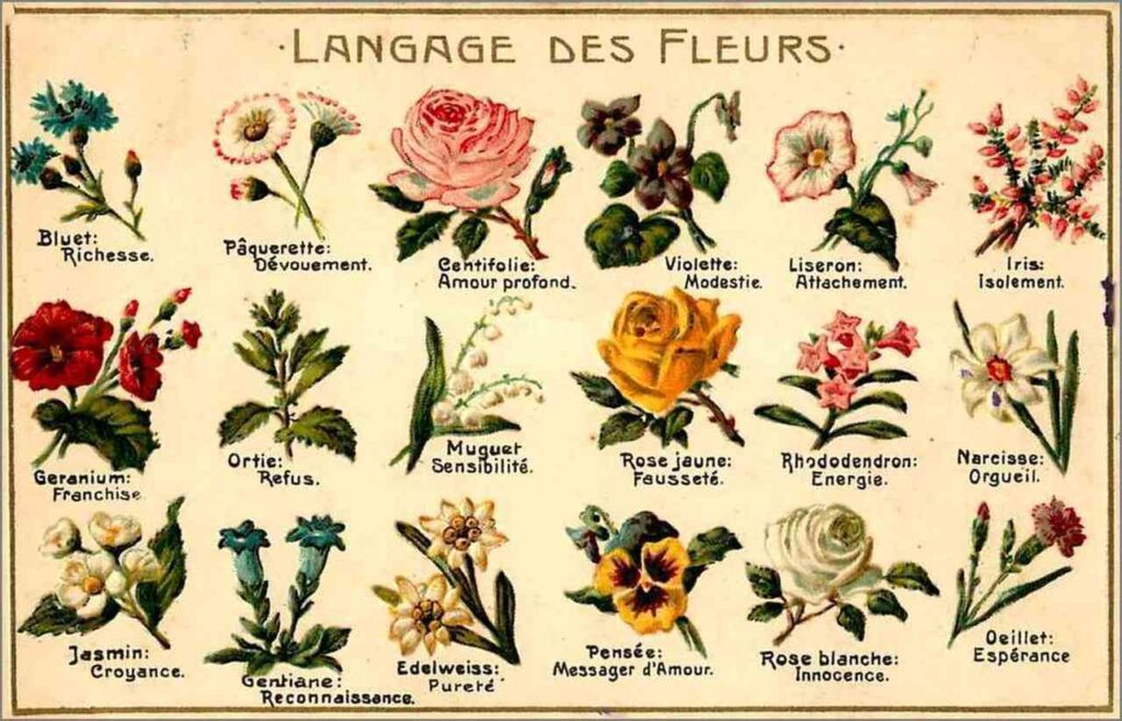 flores pequenas para vaso