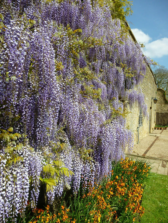 custo médio para montar um jardim de flores perenes
