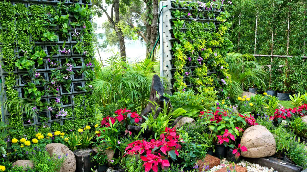 flores perenes vs anuais qual escolher