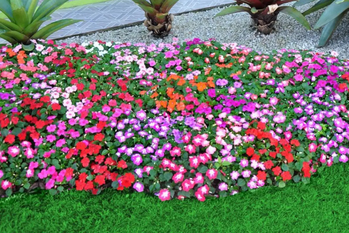 custo médio para montar um jardim de flores perenes