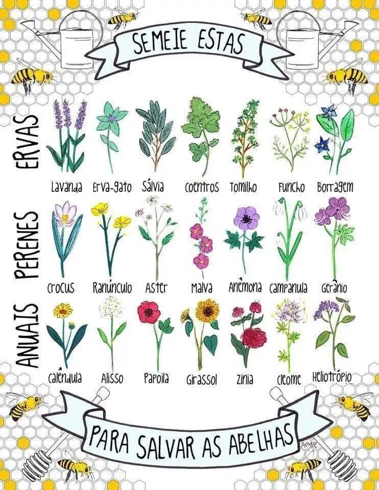flores que dão néctar para abelhas