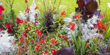 plantas que florescem o ano todo