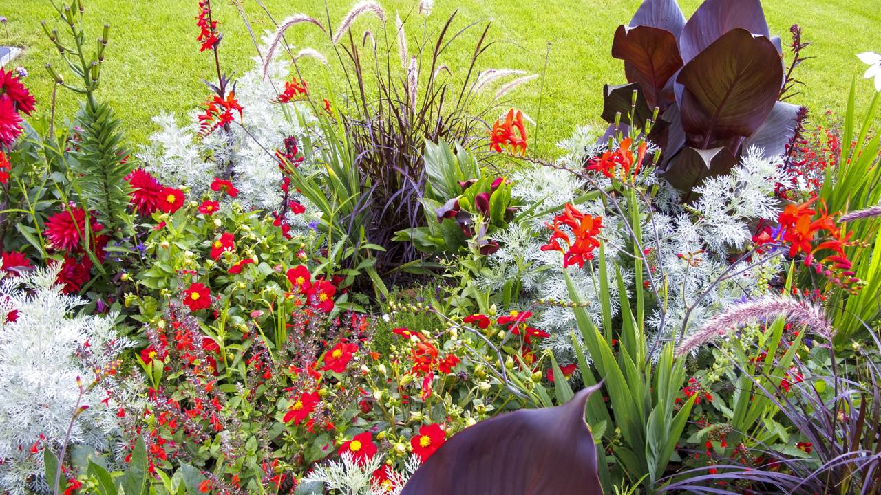 flores para jardim o ano inteiro