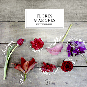 rosas vs tulipas significado amor