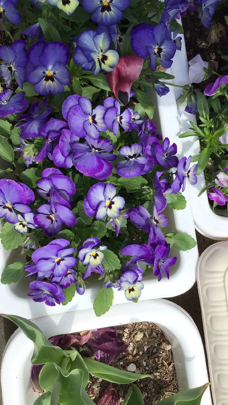 flores artificiais que significam amor