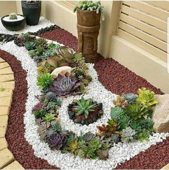 flores rasteiras para jardim