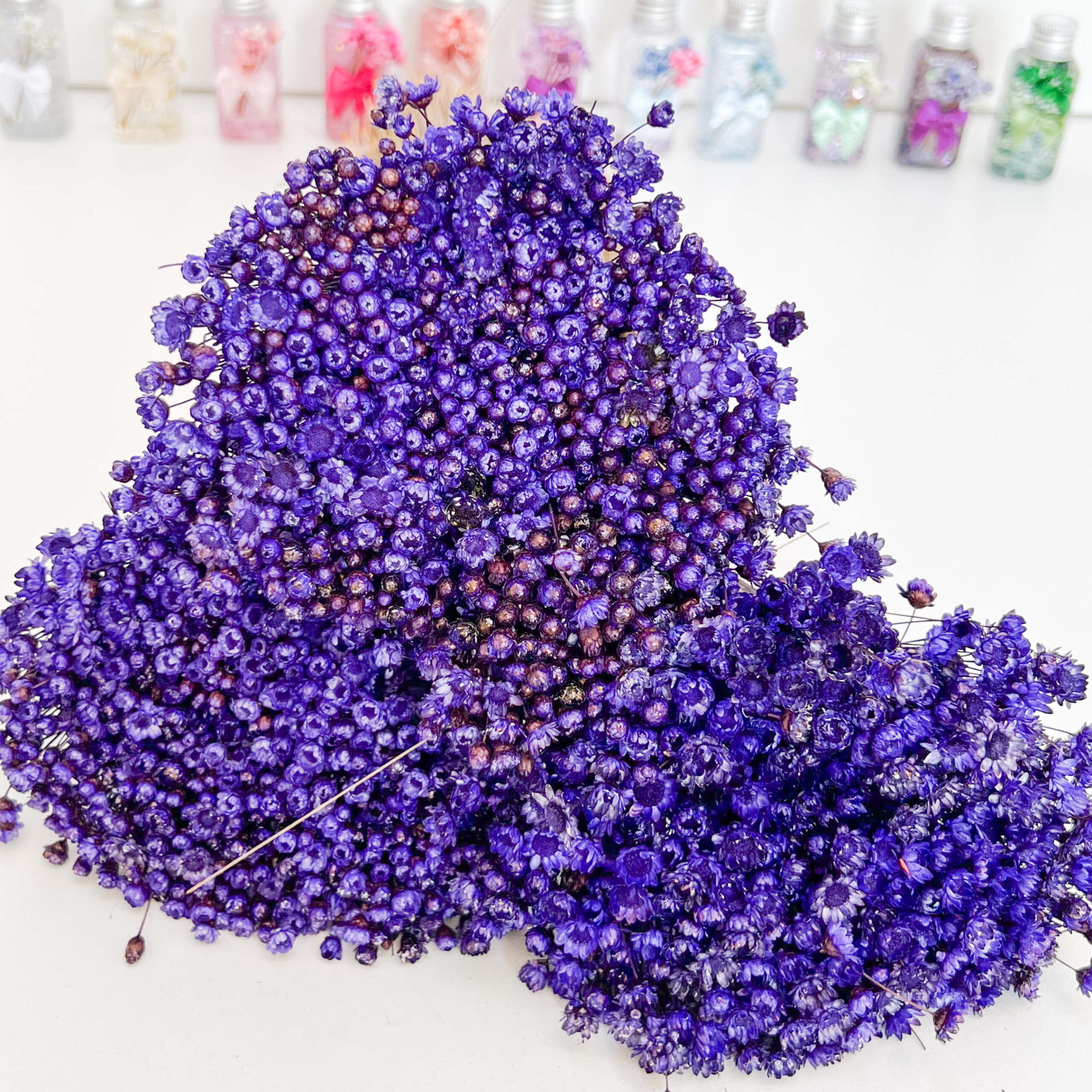 melhores flores roxas para jardim pequeno