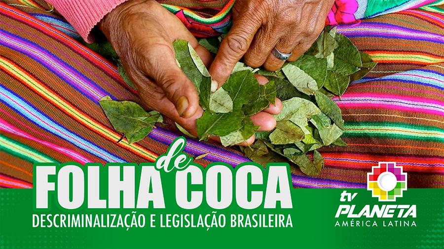 importar folha de coca brasil