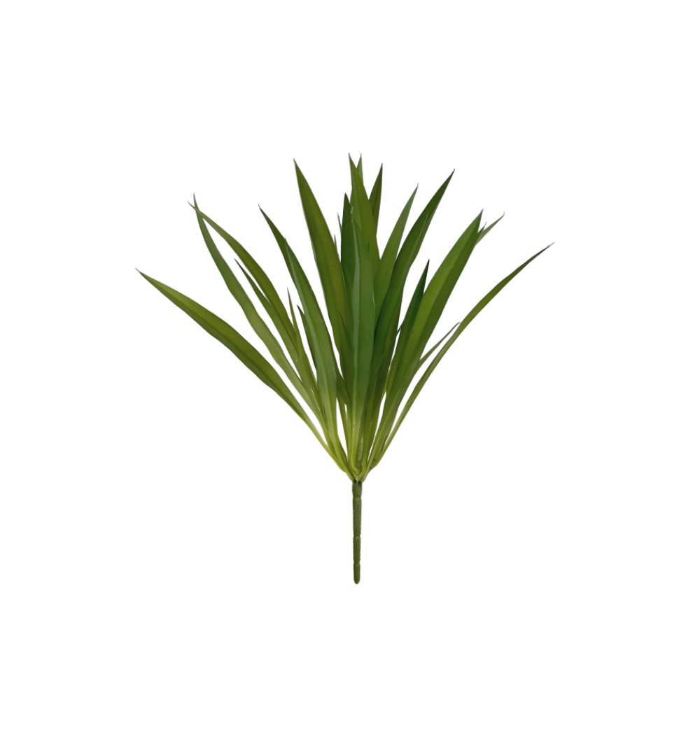 plantas de sombra com folhas verdes