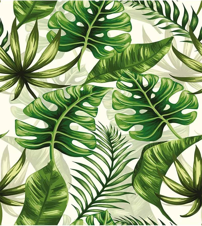 plantas de baixa manutenção com folhagem verde