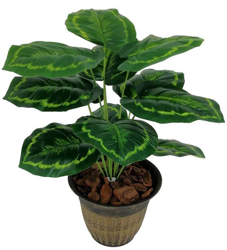 folhagem verde para banheiro