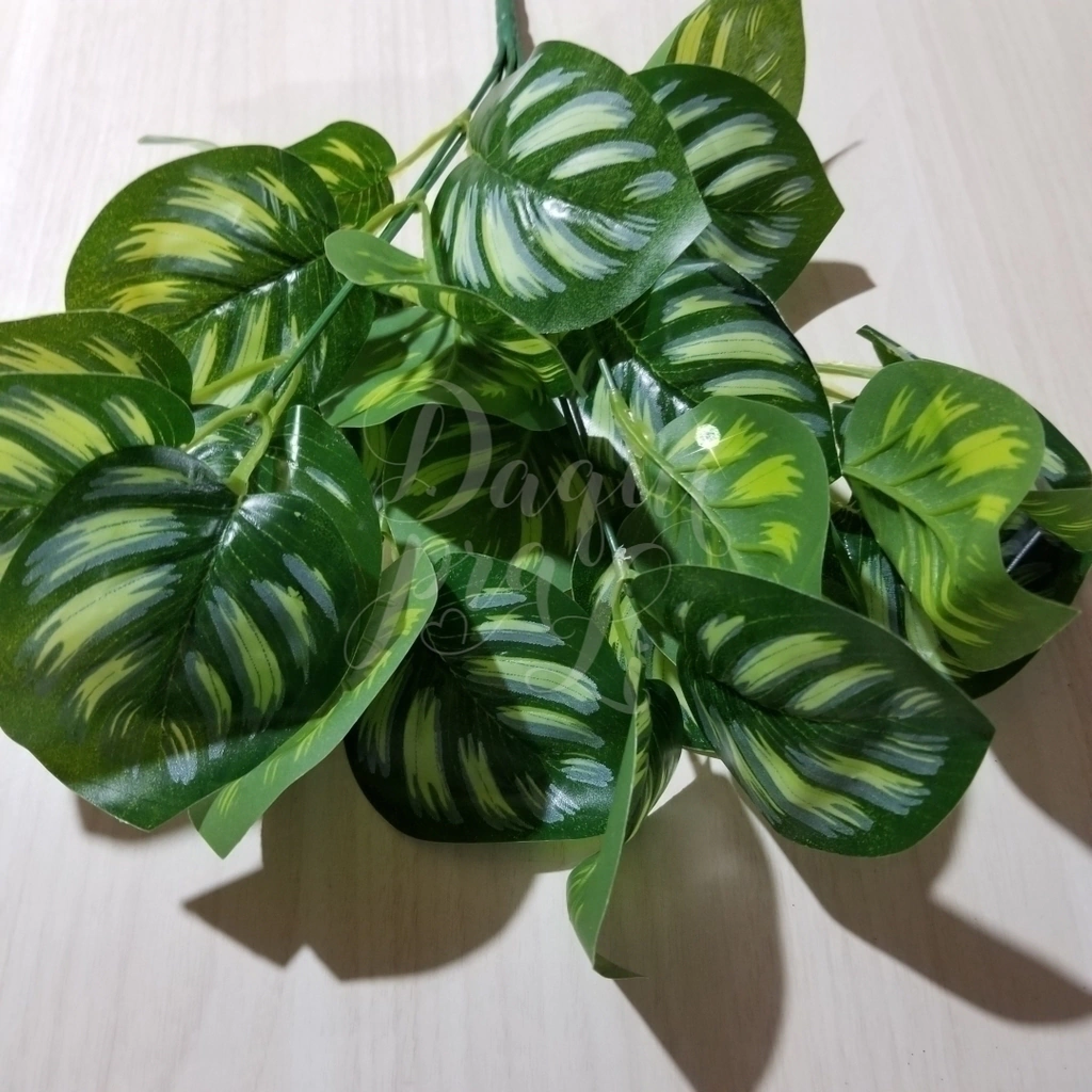 folhagem verde para varanda