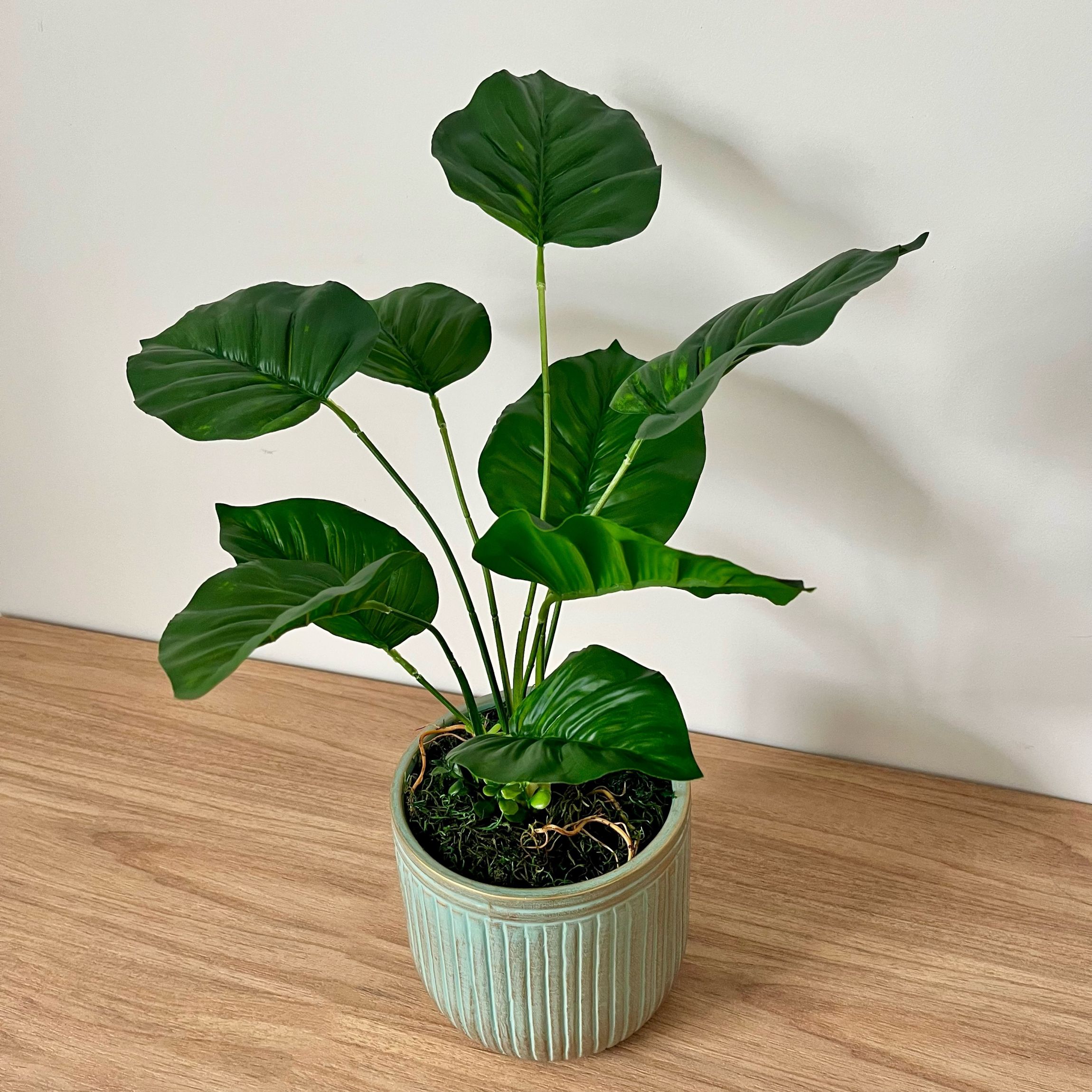 onde comprar folhagem verde