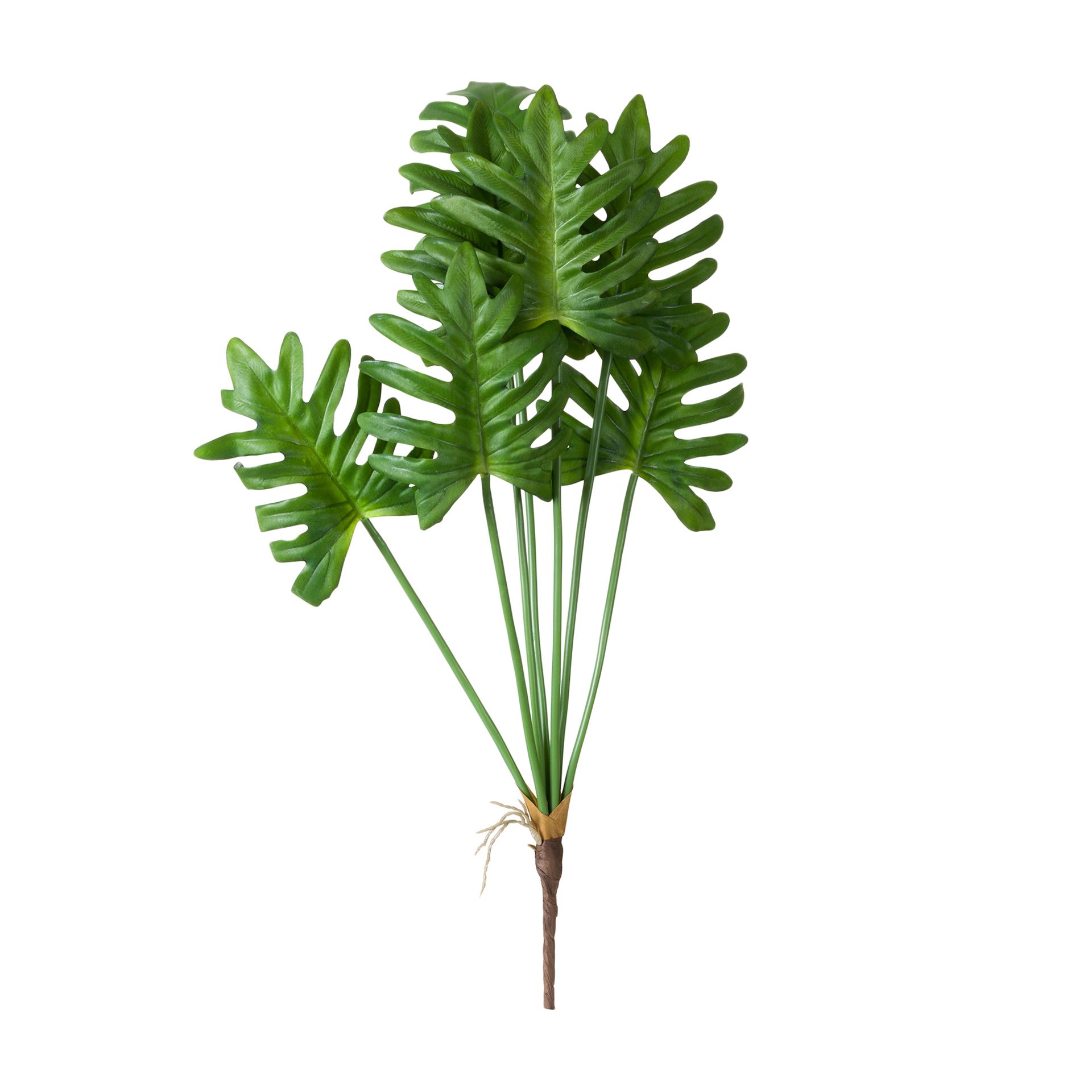 folhagem verde brilhante