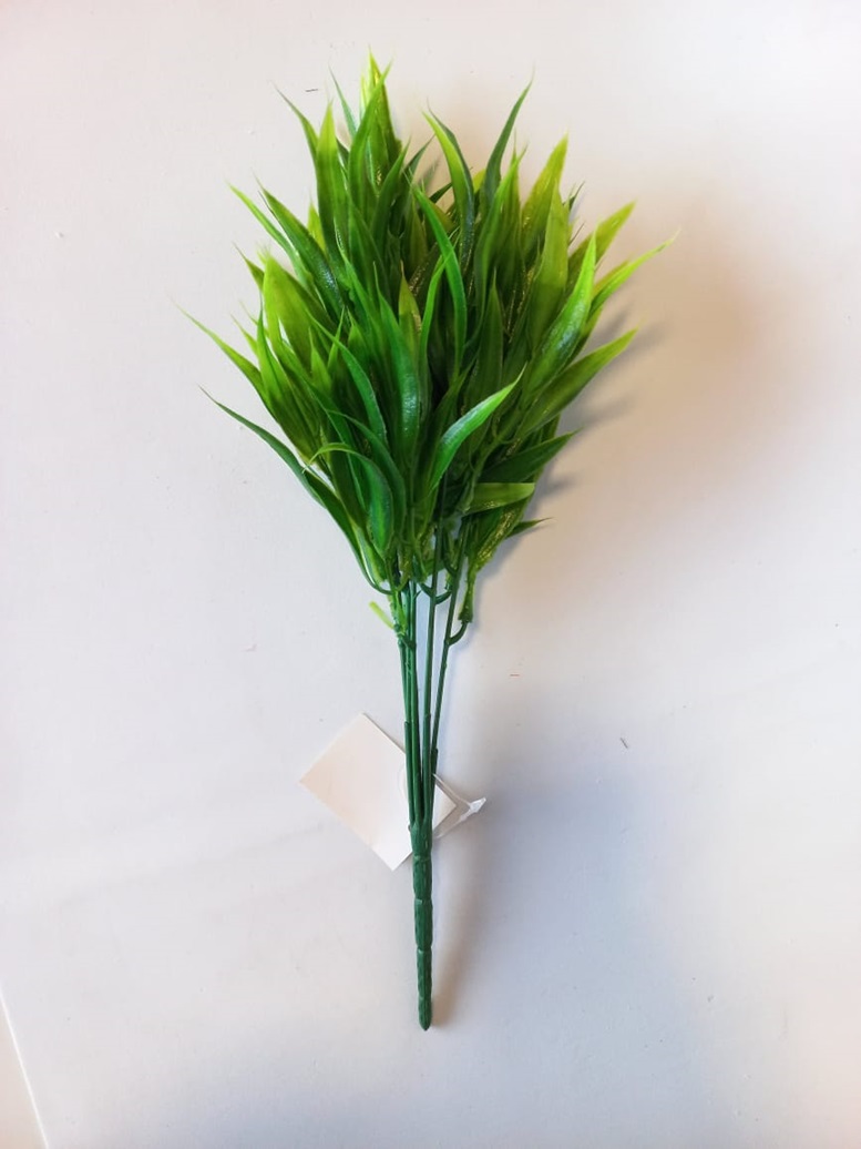 plantas de sombra com folhas verdes