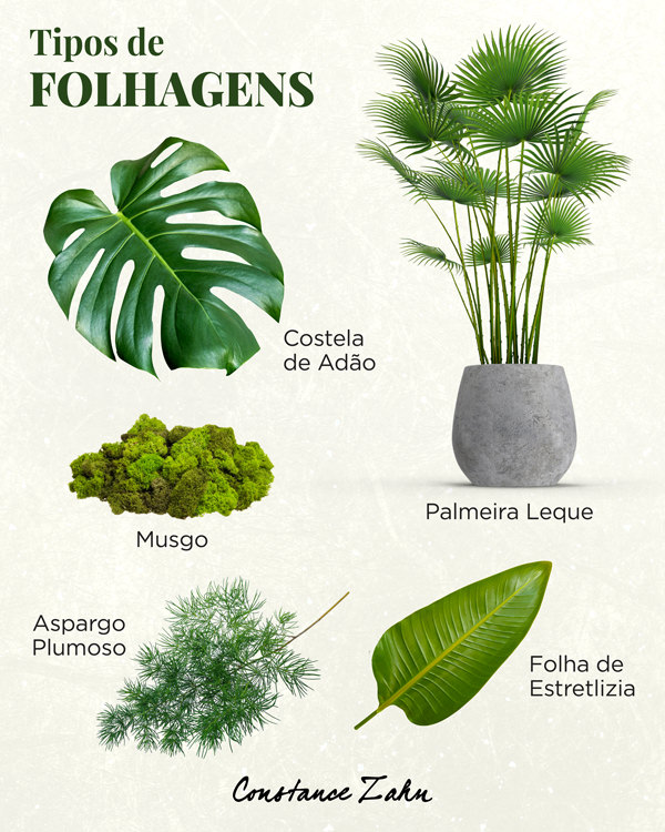 nomes de folhagens decorativas