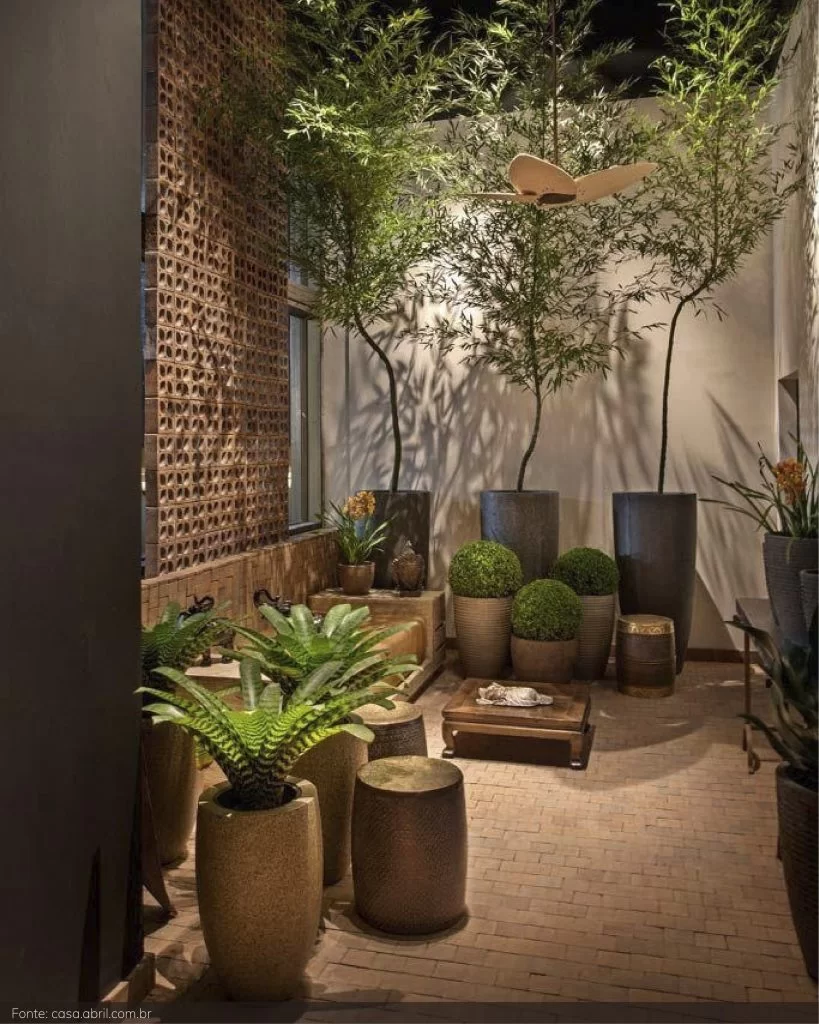 plantas para decorar sala de estar