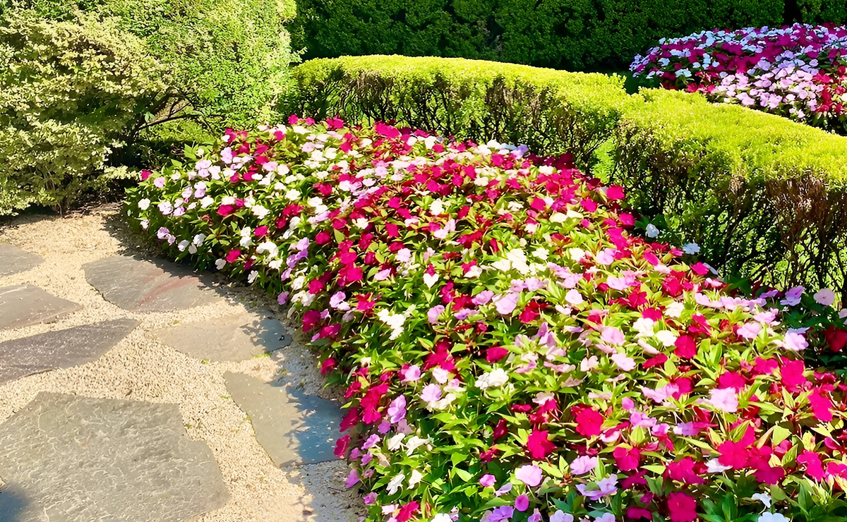 coberturas mortas para jardim