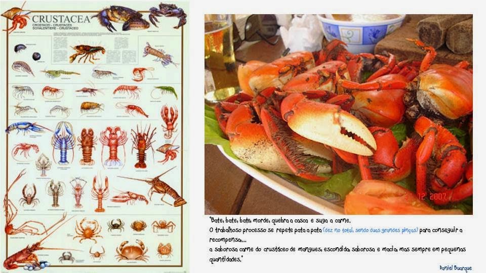 frutos do mar em restaurantes