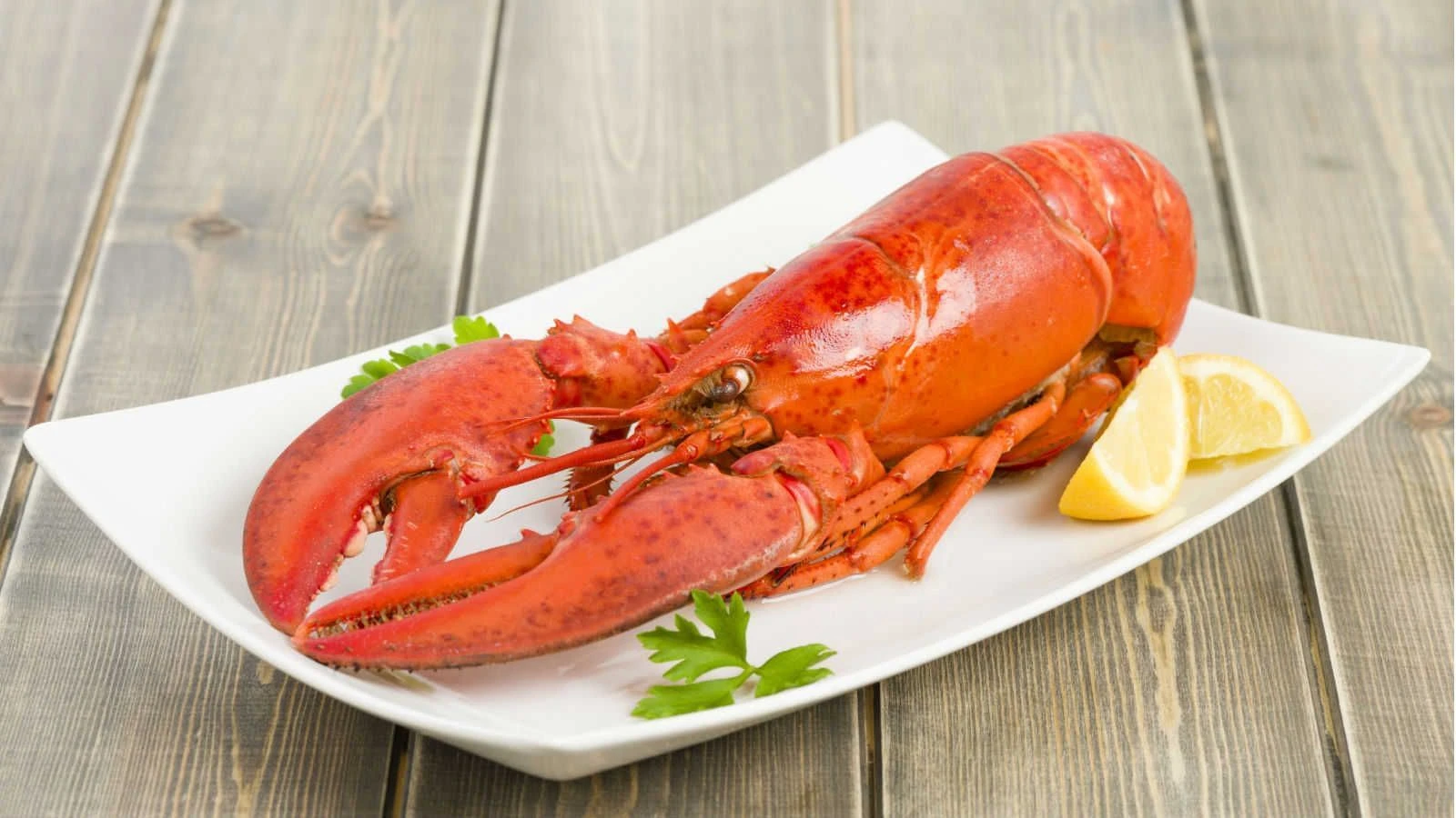 frutos do mar para sushi