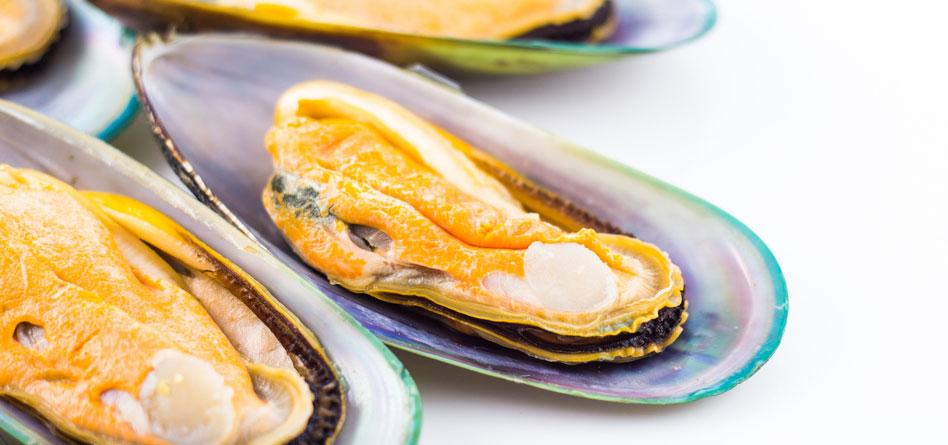 frutos do mar para churrasco