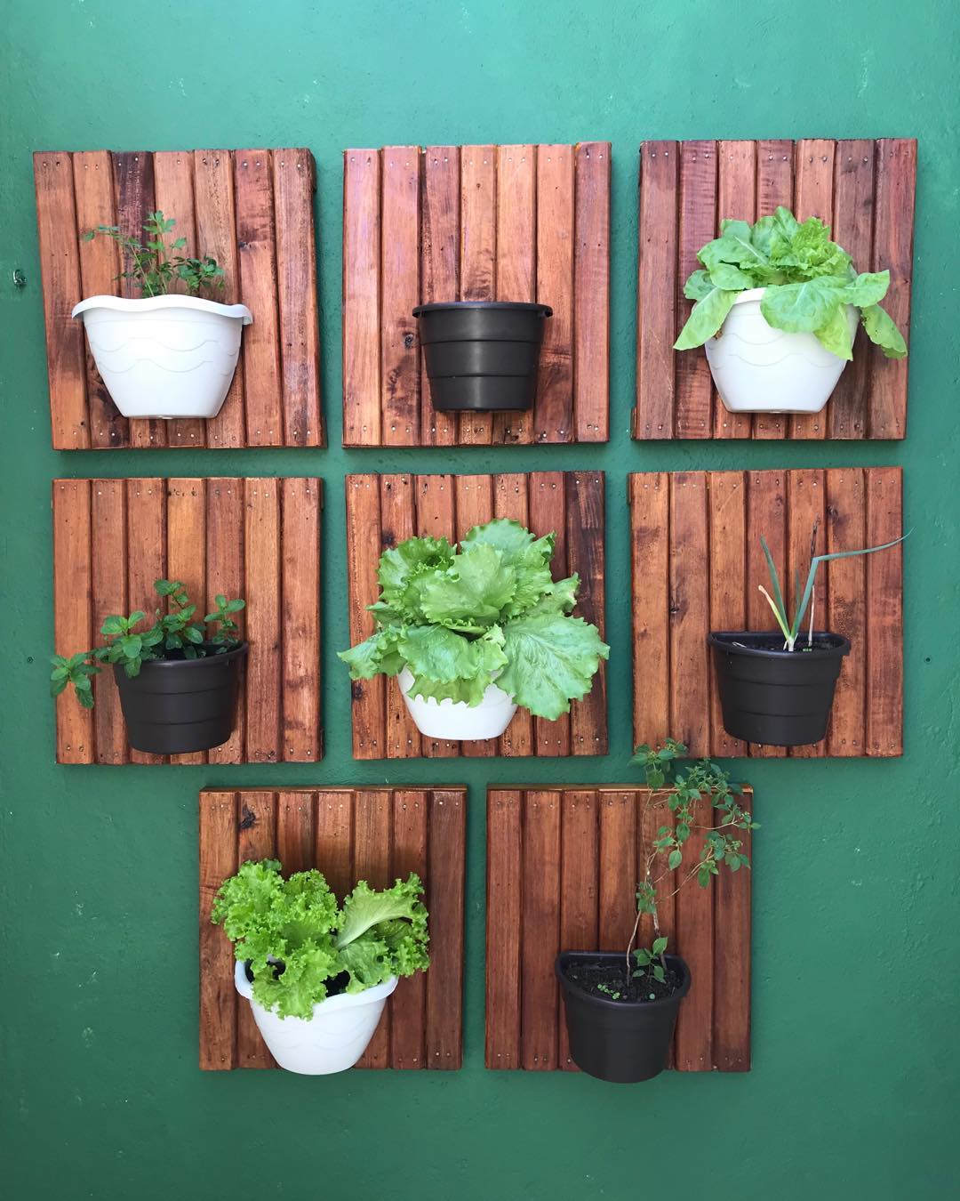 35 ideias de horta suspensa para inspirar seu cultivo