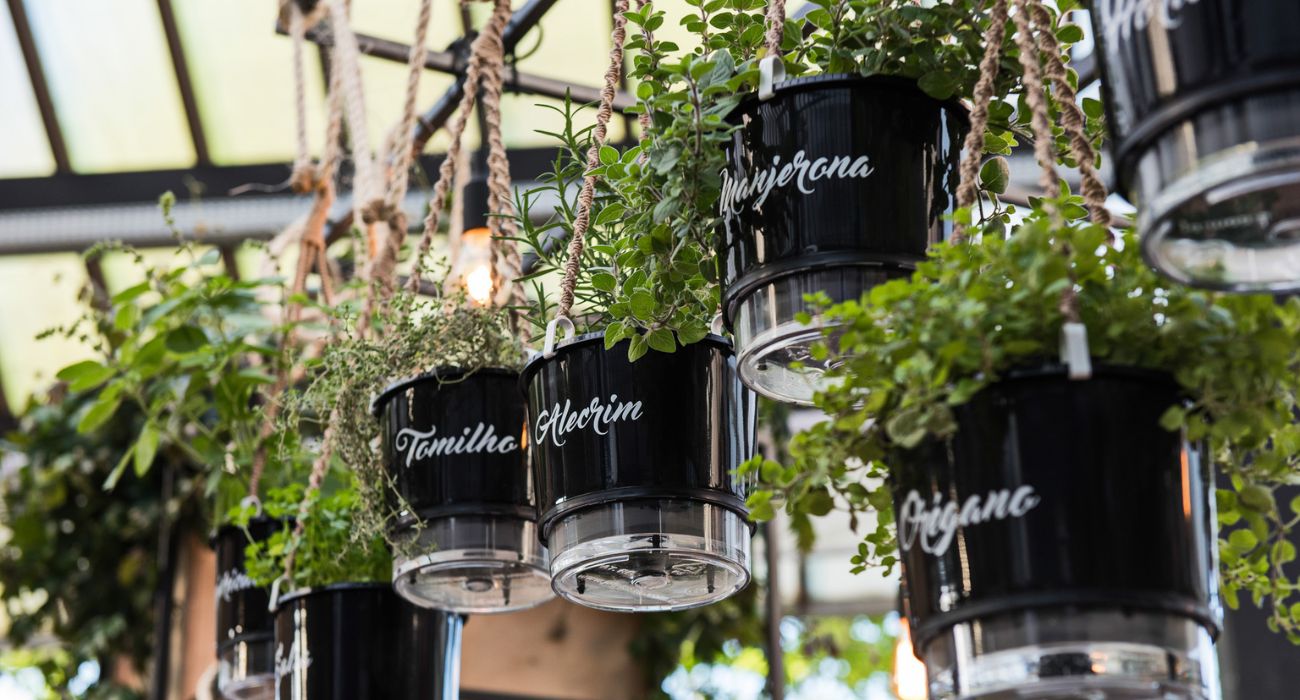 Horta Suspensa 35 Maneiras Criativas