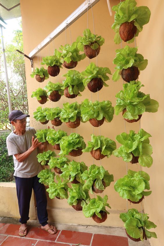 erros comuns ao montar horta suspensa e como evitá-los