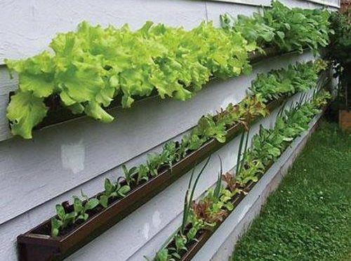 quanto custa montar uma horta suspensa econômica