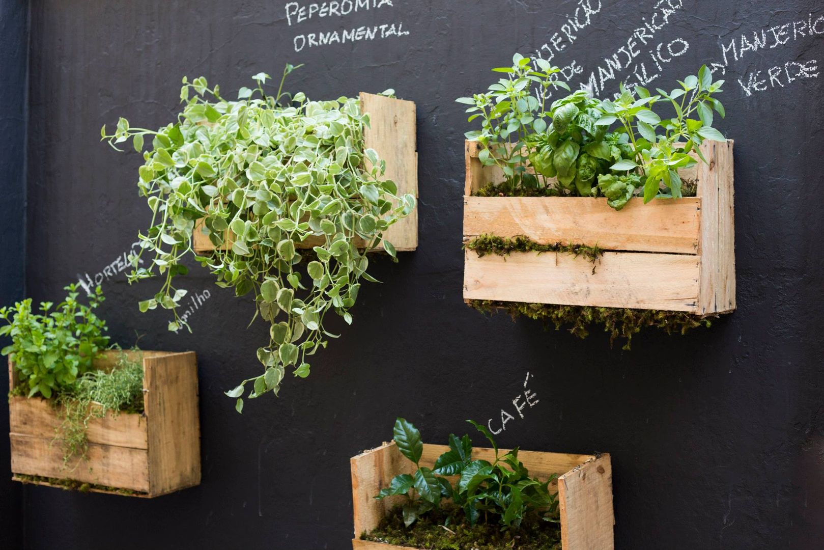 Horta Suspensa 35 Maneiras Criativas