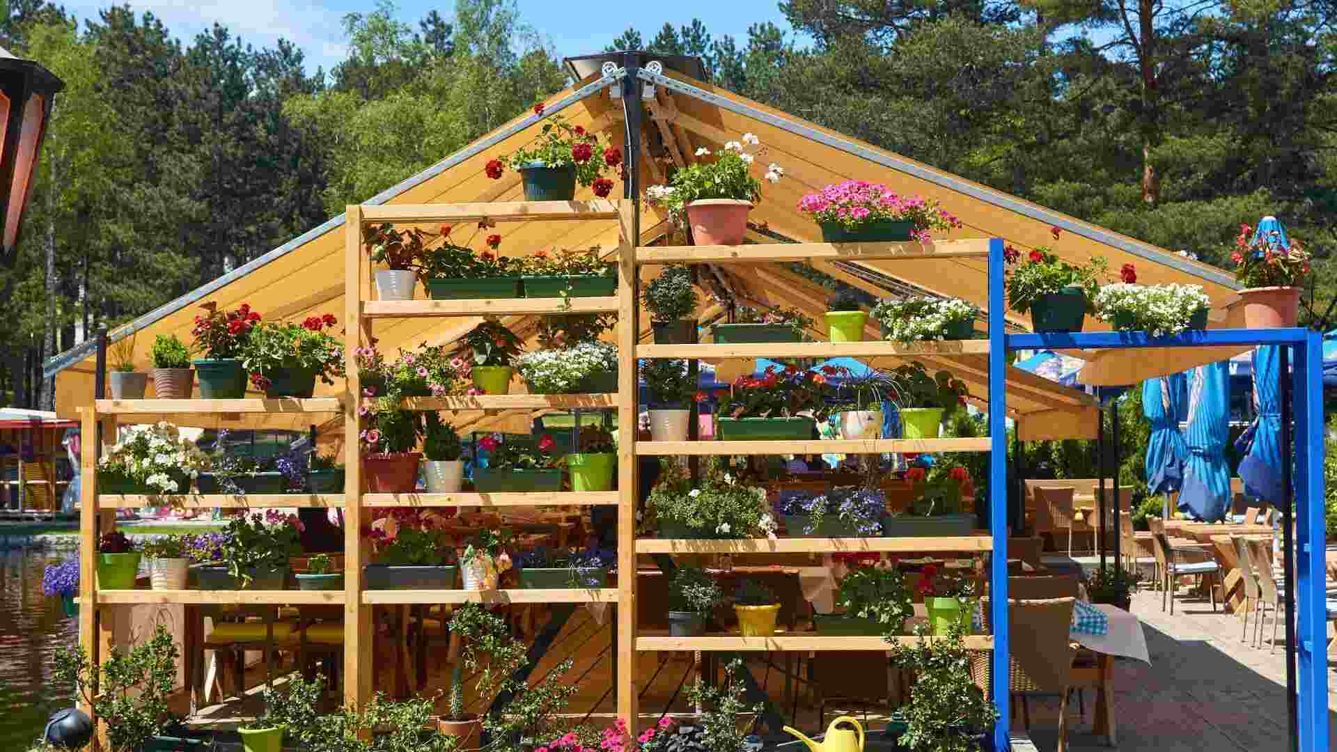 erros comuns ao montar horta suspensa e como evitá-los