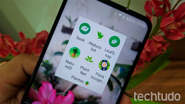 melhor app para identificar plantas
