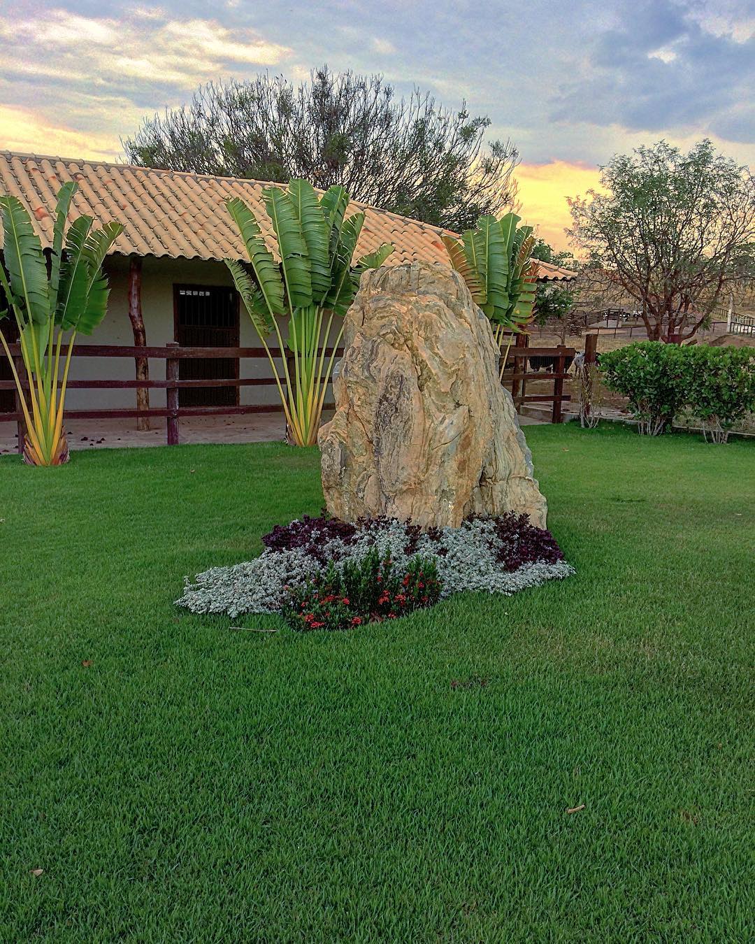 pedras rústicas vs pedras polidas para jardim