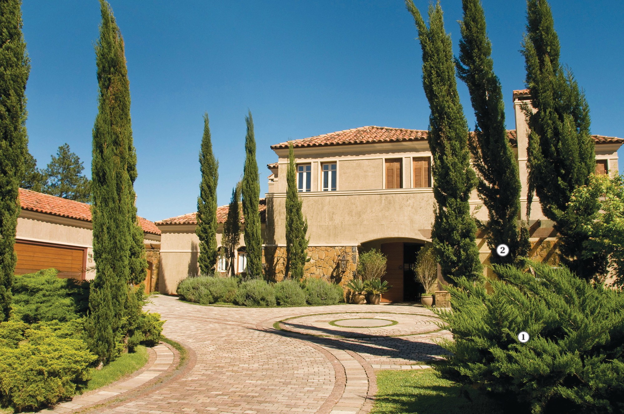 erros comuns ao criar jardim italiano