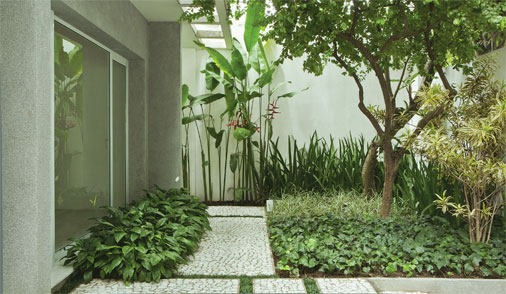 plantas para jardim de sombra