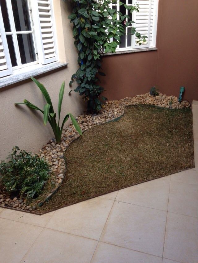 plantas que florescem em meia sombra