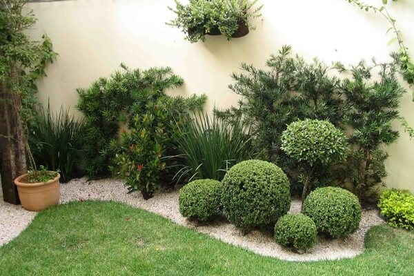 decoração de frente de casa com plantas
