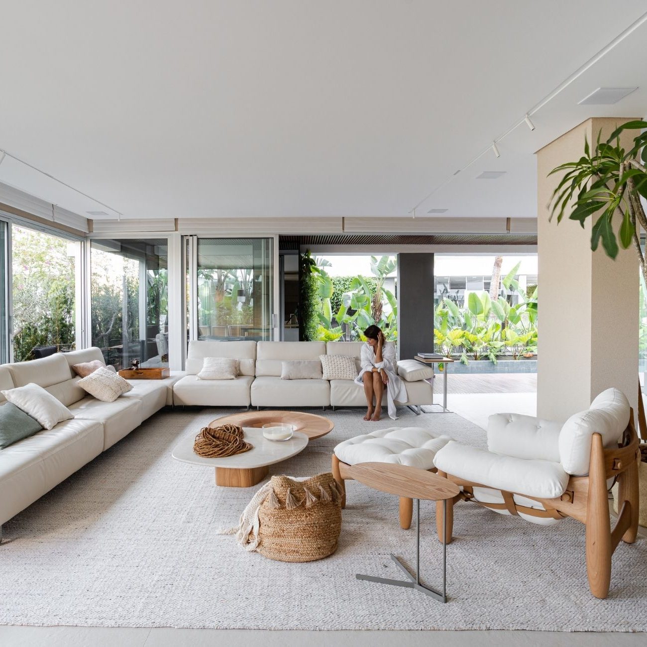 preço muda jasmim manga