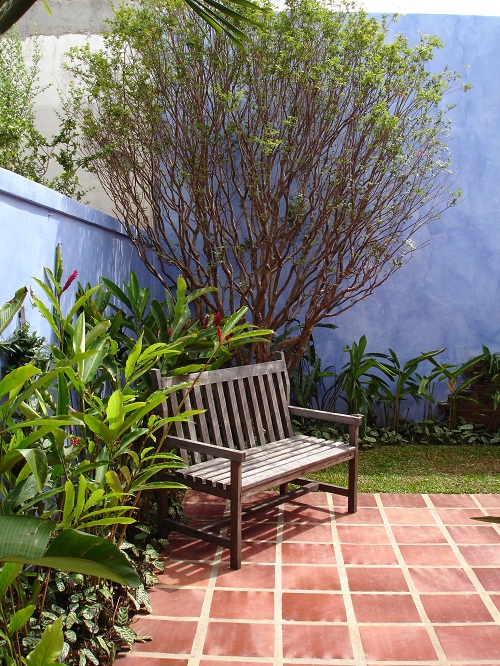 jasmim manga vs jasmim estrela