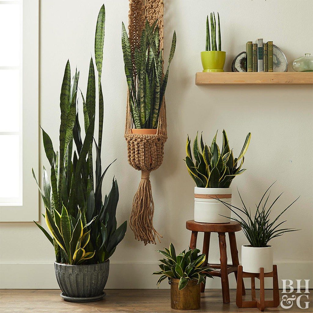 onde colocar lança de são jorge