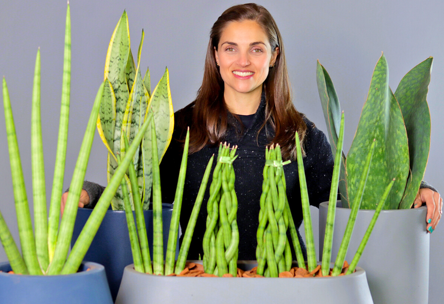 melhor lugar para lança de são jorge