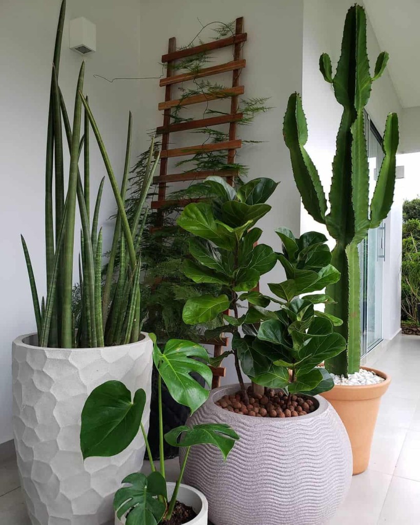 lança de são jorge feng shui