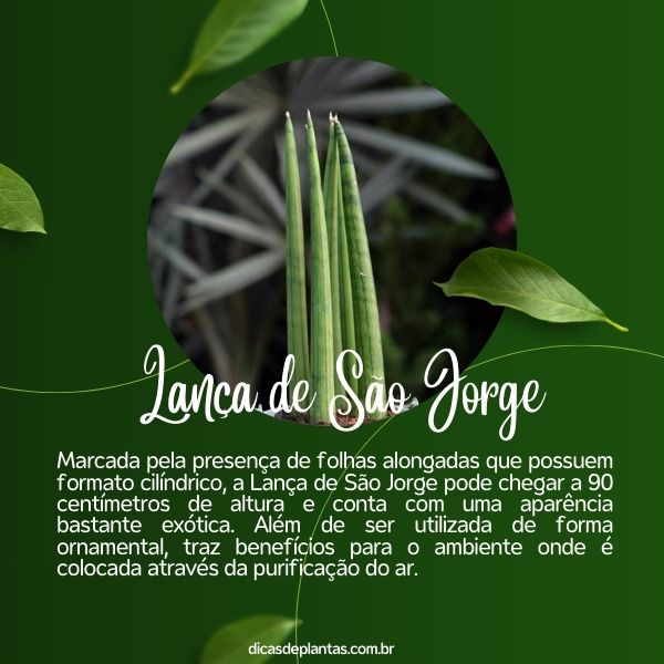lança de são jorge significado espiritual